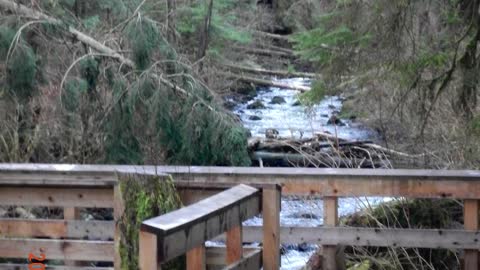 A walk along Hayward reservoir trail in Mission, British Columbia