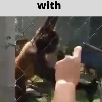 let me see what you photographed with