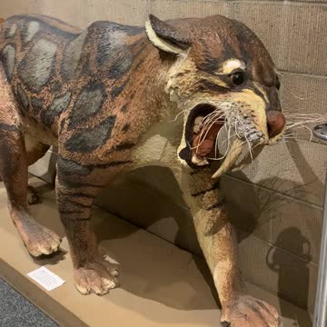 Saber tooth replica at Anza Borrego
