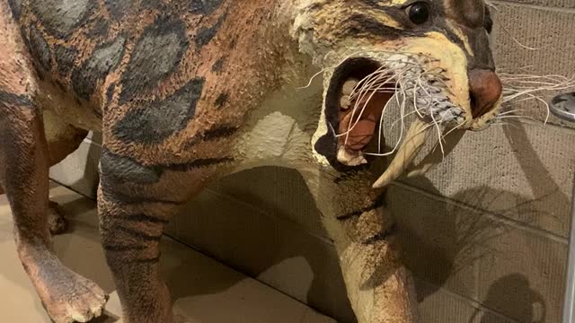 Saber tooth replica at Anza Borrego