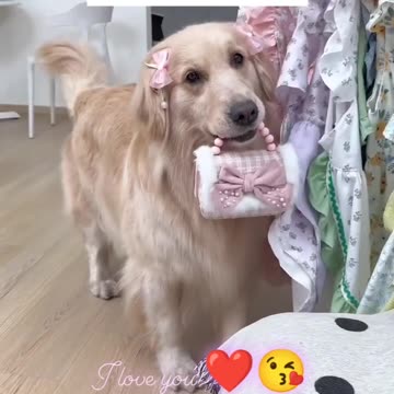 Aww my cutie pie 🥰