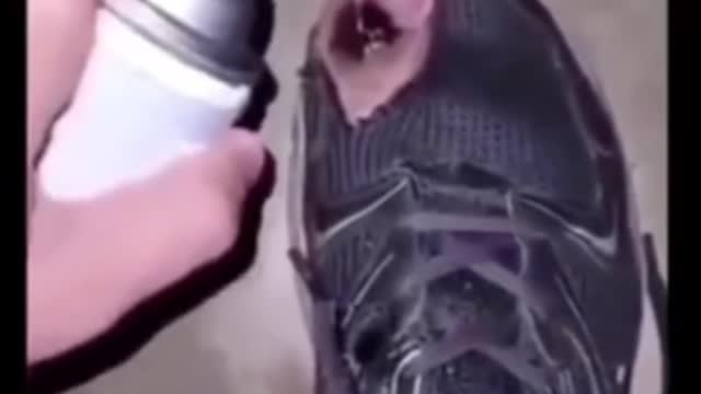 random video 10
