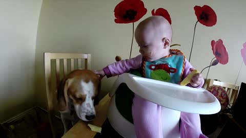 Beba comparte su comida con el perro y se enoja cuando este la rechaza