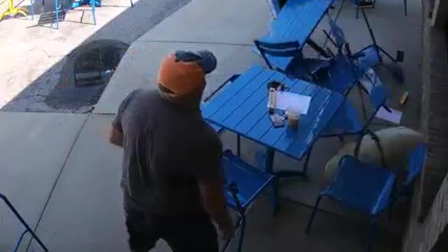 Best Funny animais vídeos