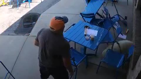 Best Funny animais vídeos