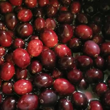 Homemade Cranberry Sauce