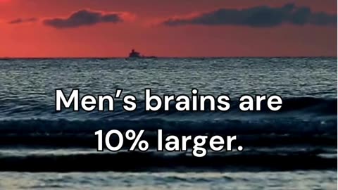 Male Fact