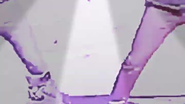 cat dances to Skype ring tone