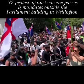 NZ Protesters Perform The Haka, A Traditional Māori Dance At Massive Protest Outside Parliament