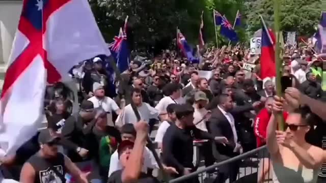 NZ Protesters Perform The Haka, A Traditional Māori Dance At Massive Protest Outside Parliament