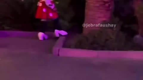 Minnie Is A Mexican