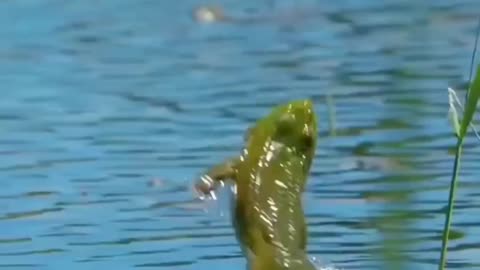 Try and try until you succeed 🤣