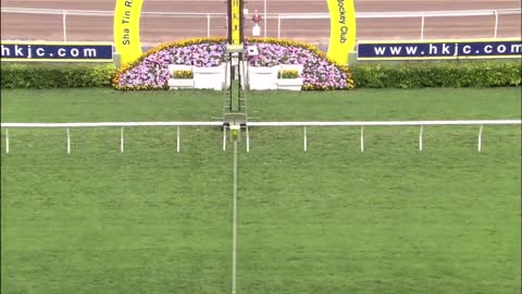 Horce_Race_2022050701_Chinese