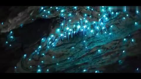 Best place to travel - Glowworm Caves in New Zealand