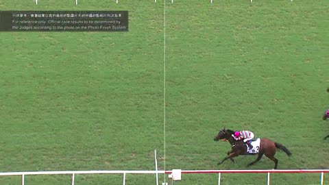 Horse_Race_2022061204_Chinese