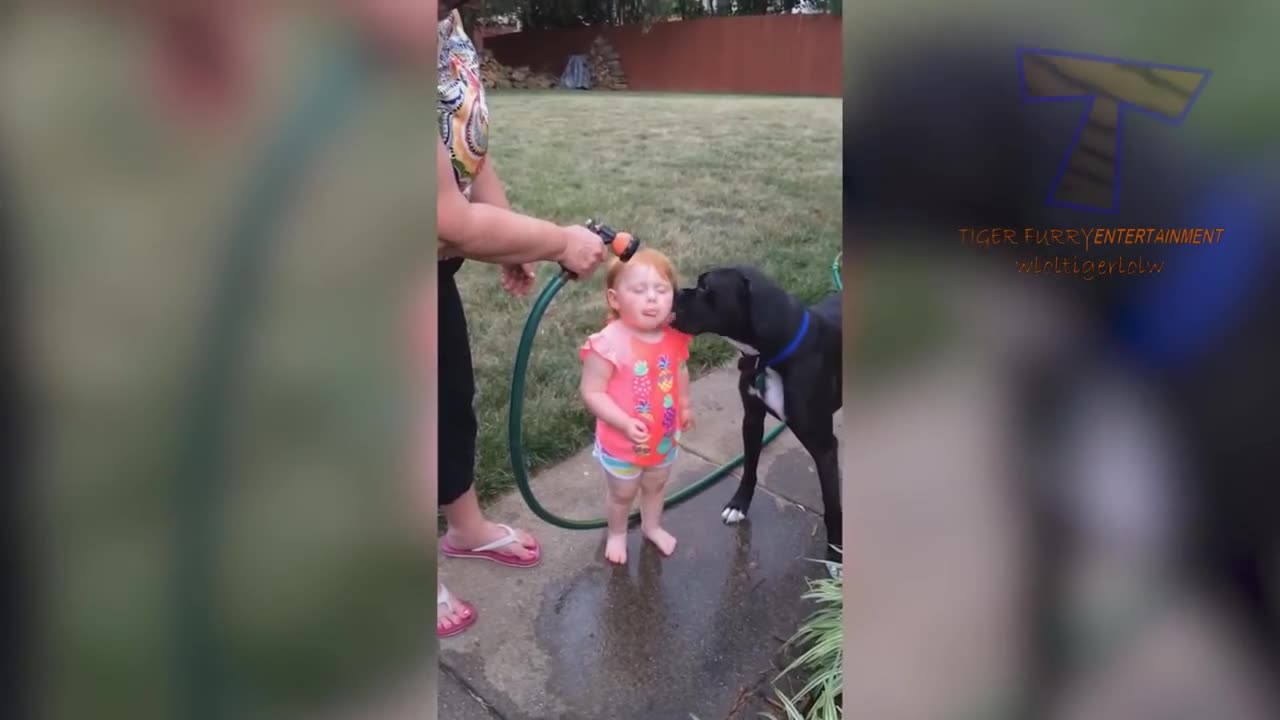 Title: "Babies and Bark-tastic Laughs: Funny Dog Moments!"