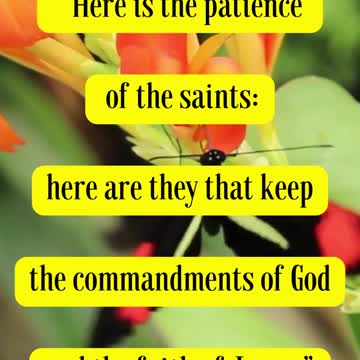 Bible Verse For the Day...Here is the patience of the saints: here are they that keep the...