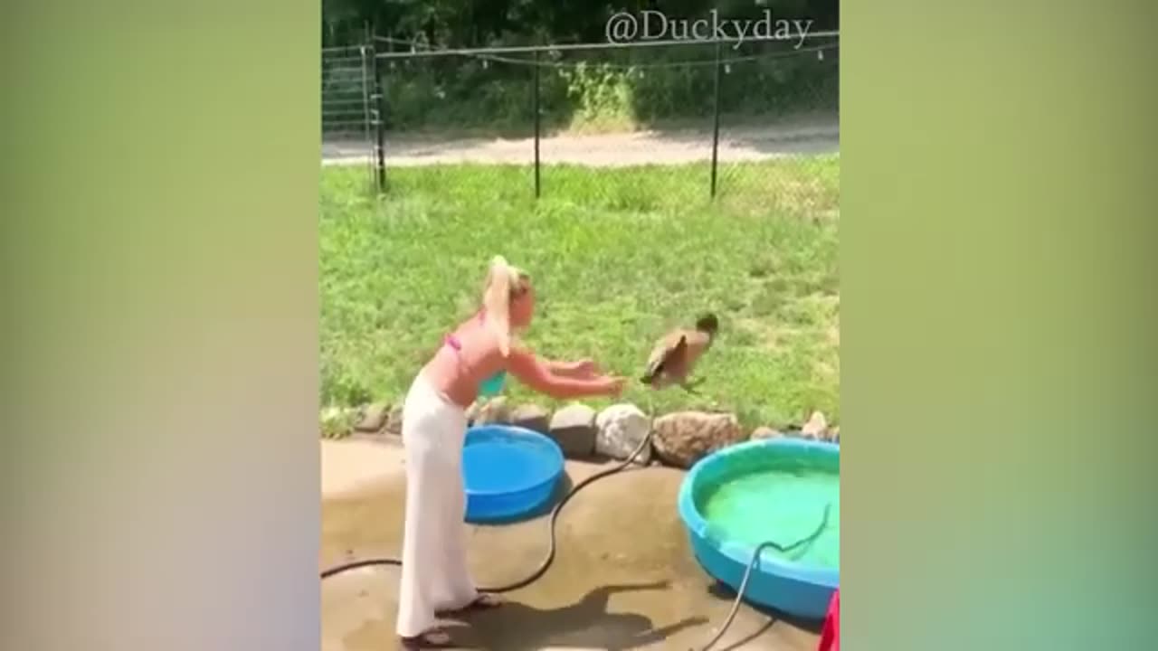 Funny people | Funny animals | Funny Compilations #01