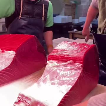 funny|prank|jokes|funny jokes|dad jokes|funny memes|funny video|fun|laughing|funny animal|knock