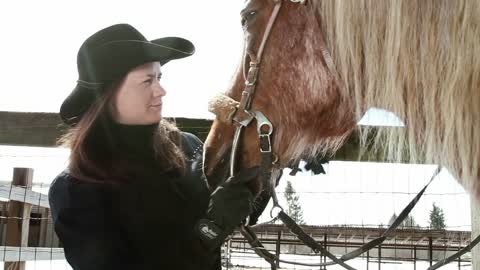 girl cowboy stroking horse