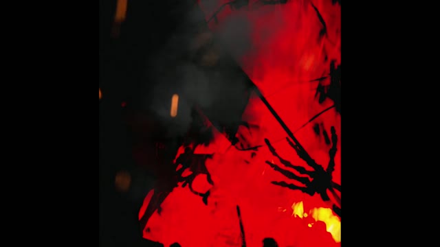 Zoey The White Lioness - Take Another Look Around (Official Audio)