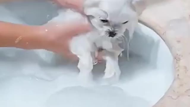 I have A Perfect Haircut!