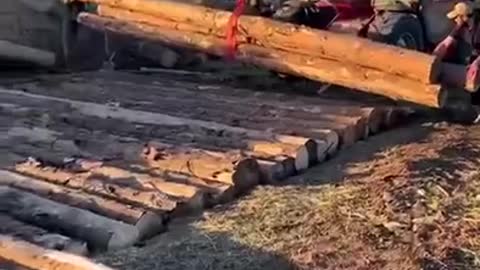 Ukrainian trenches look more comfortable than russian apartments Video