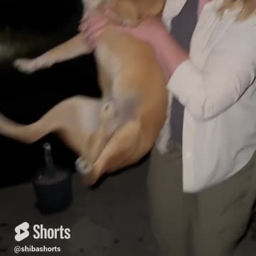 Sometimes you just need a swim