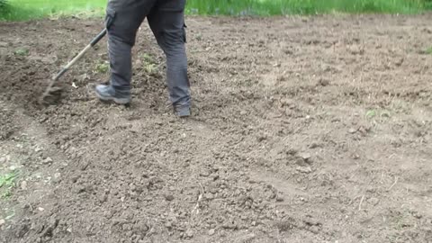 Massive yard redo! Tilling up the yard with a garden machine tiller and releveling it!