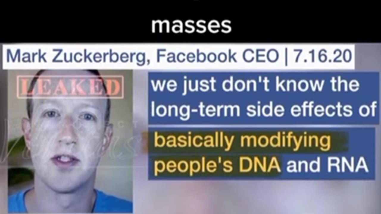 Mark Z. Reptileburg🦎