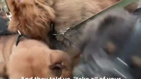 Ukrainen Rufuses Say Dog Save Their life|'Stop war||ukraine Russia War