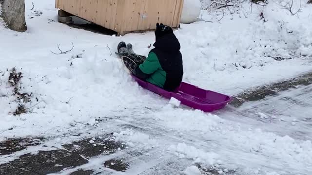 Bram sledding