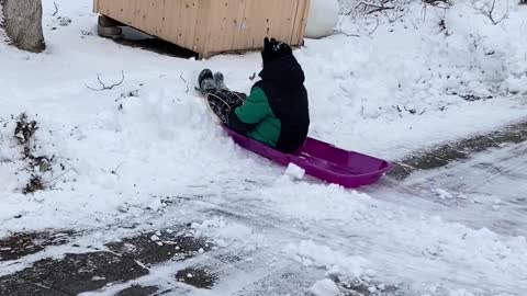 Bram sledding