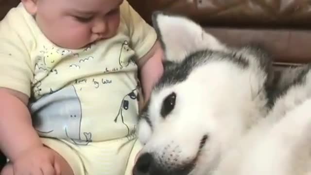 Full screen cute baby playing with a dog