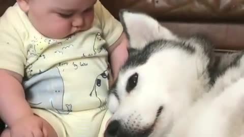 Full screen cute baby playing with a dog