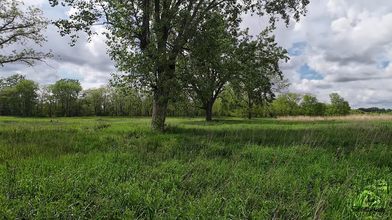 Watershed Restoration Spot 1