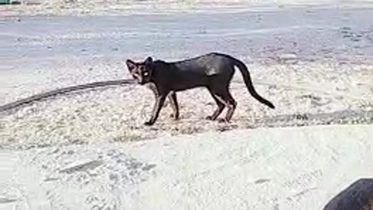 So sad