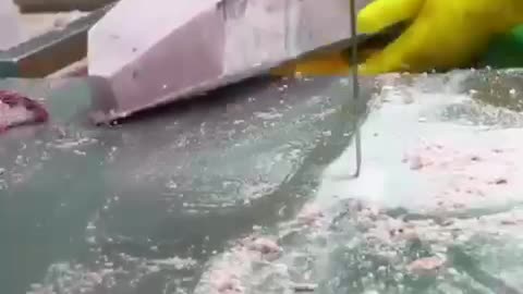 Ever wonder how they prepare a Tuna Fish before it is served on your plate?