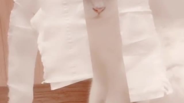 The cat is very naughty, dancing like somersaults on the sofa.