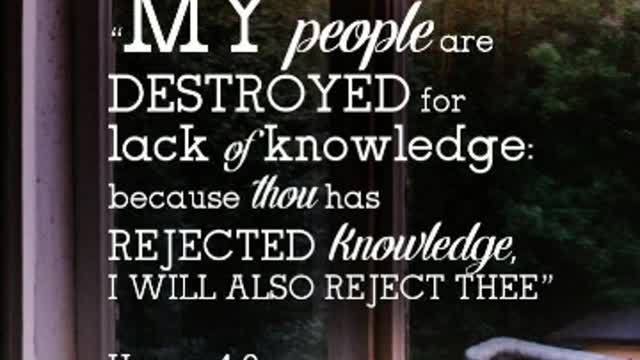 Get the picture hear their words