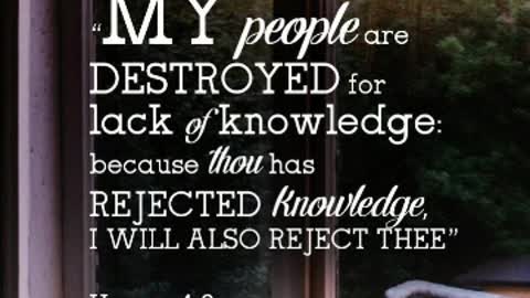 Get the picture hear their words