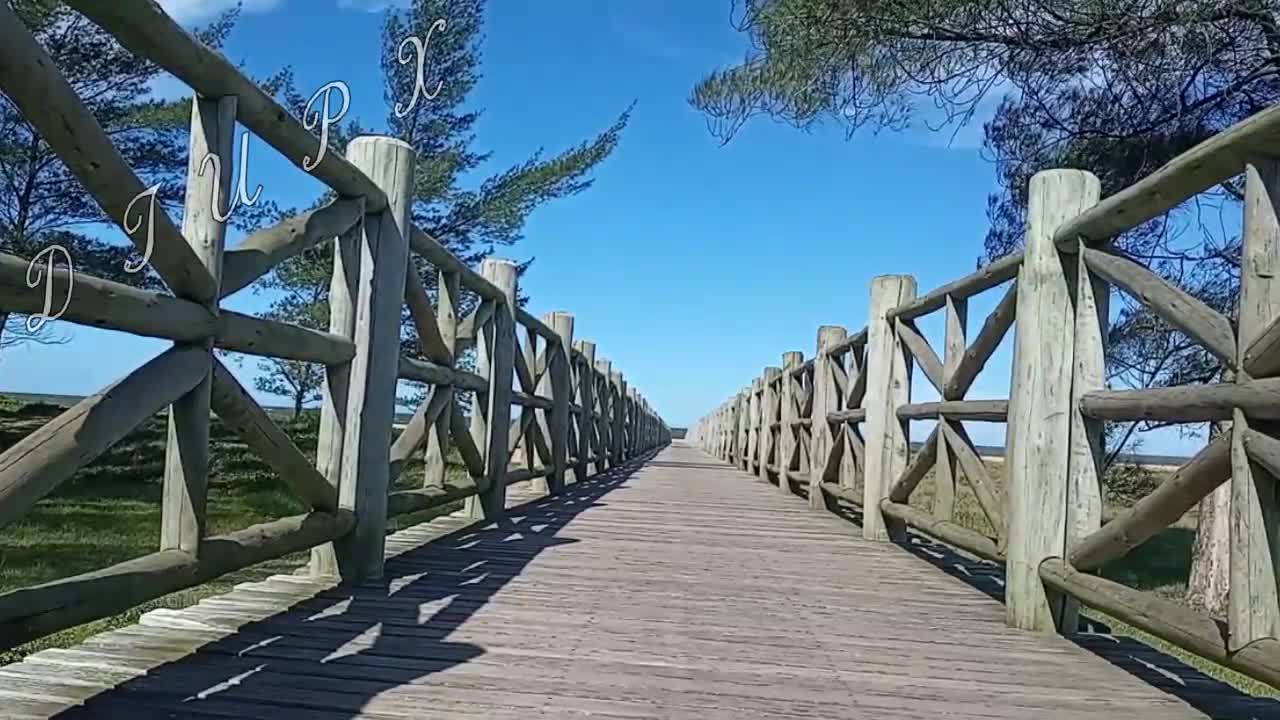 Música Relaxante frequência 432 hz - Sons da Natureza para Relaxar Profundamente Meditar e Dormir 💦🌿