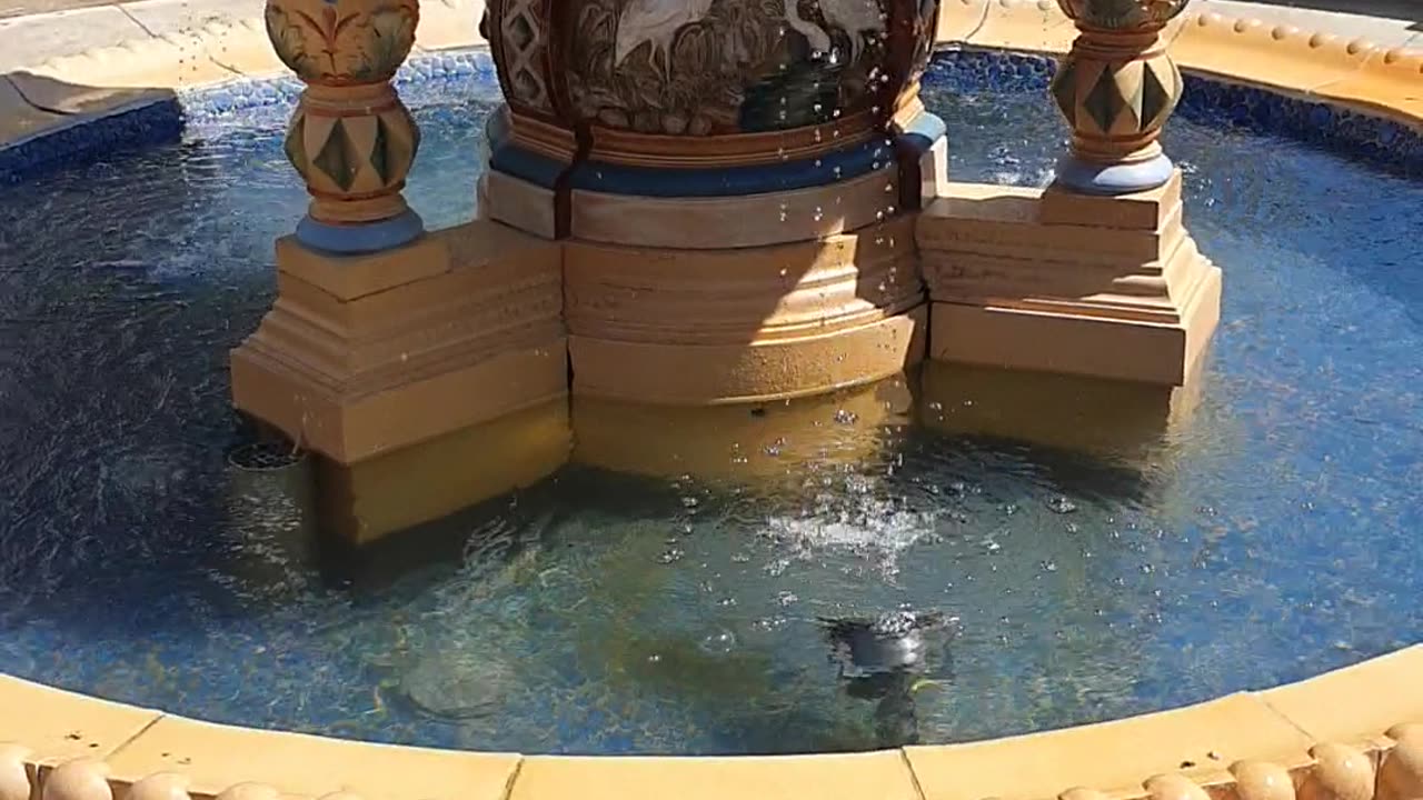 The most beautiful fountain