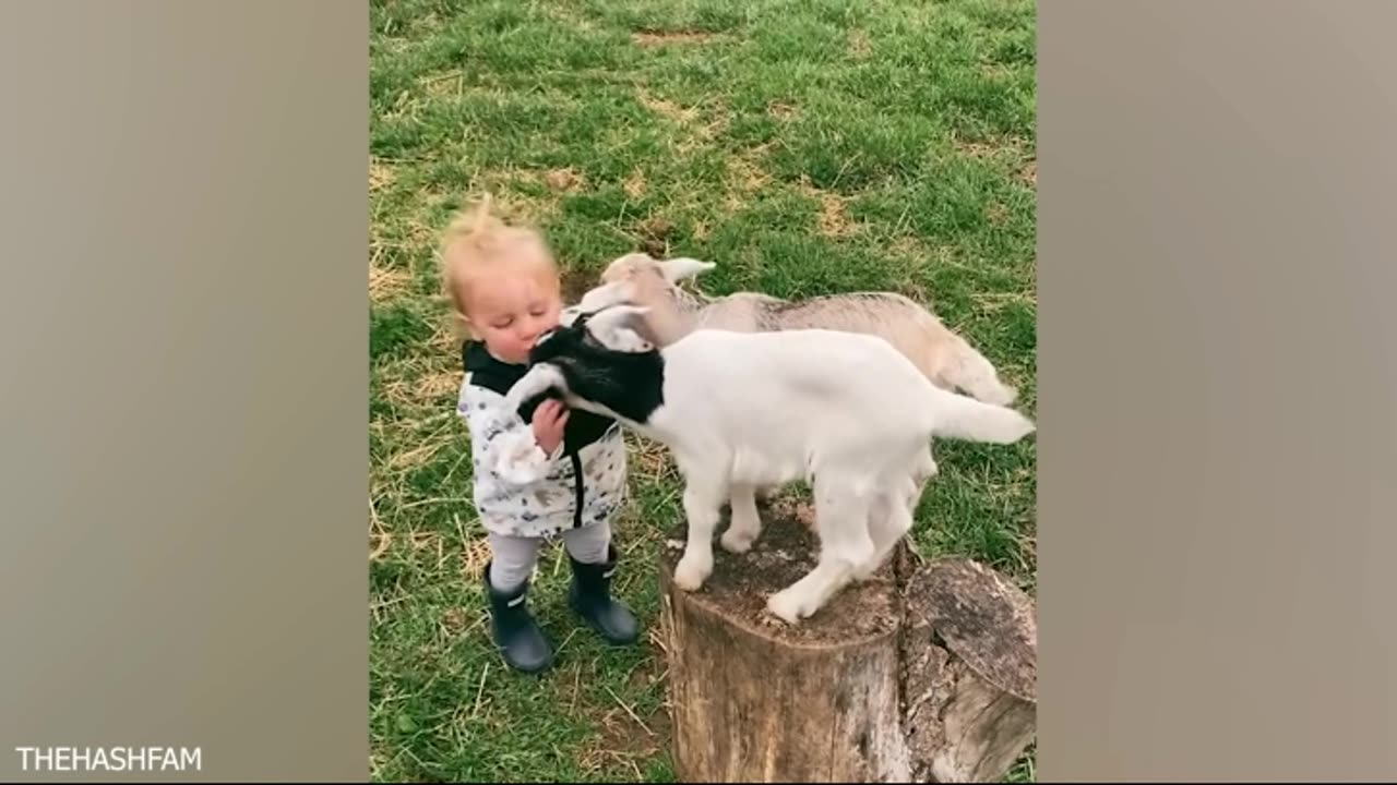 😂 Irresistibly Adorable: Laughing with Cute Animals! 🐾