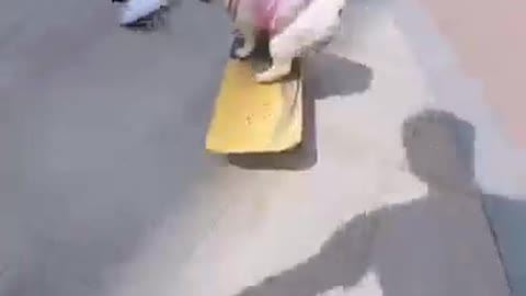 Skatedog 09