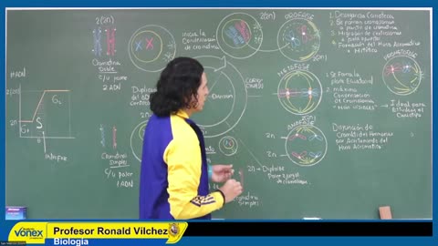 VONEX SEMESTRAL INTENSIVO | SEMANA 10 | BIOLOGÍA