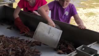 Crawfishin Girls