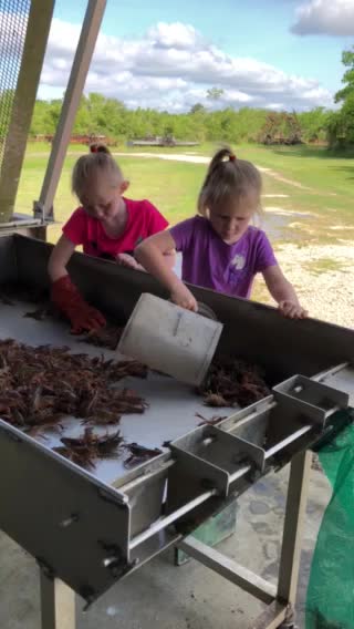 Crawfishin Girls
