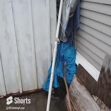 No Neck found a stripper pole