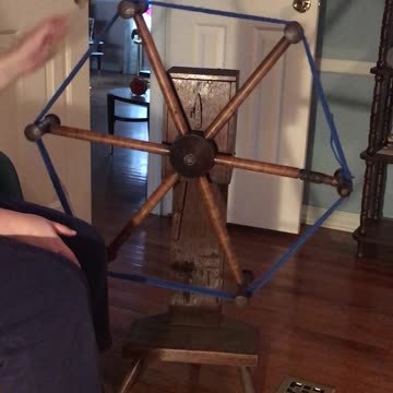 Daisy the Wool Weasel goes Pop